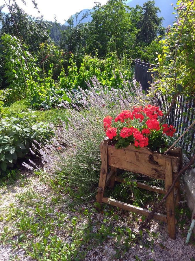 CASA IDA - ClPAT 22253 Villa Tregiovo Bagian luar foto